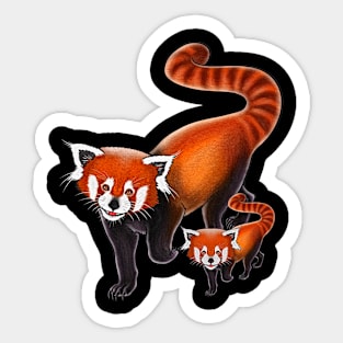 Red panda mom cute red pandas red panda lover Sticker